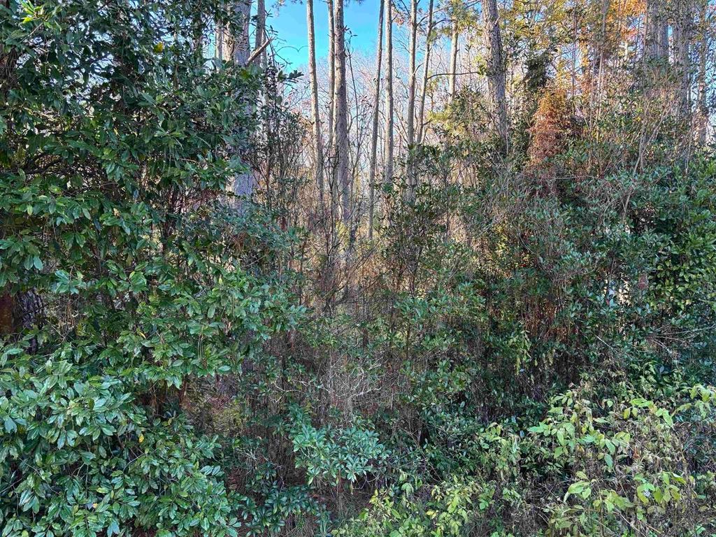 Photo of XXX BOX WOOD Court, Tallahassee, FL 32303 (MLS # 394378)