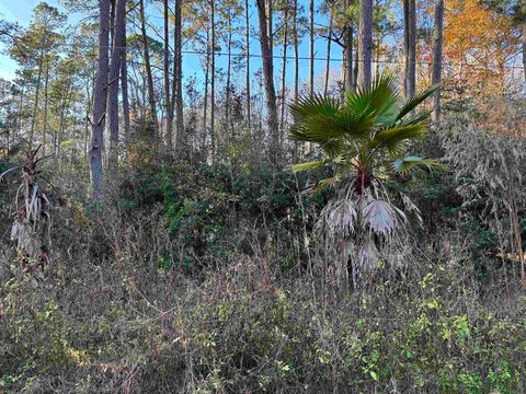 Tiny photo for XXX BOX WOOD Court, Tallahassee, FL 32303 (MLS # 394378)