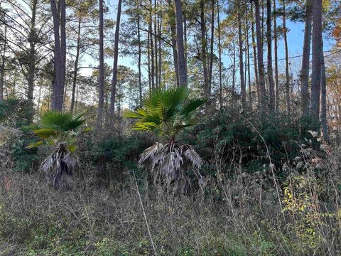 Tiny photo for XXX BOX WOOD Court, Tallahassee, FL 32303 (MLS # 394378)