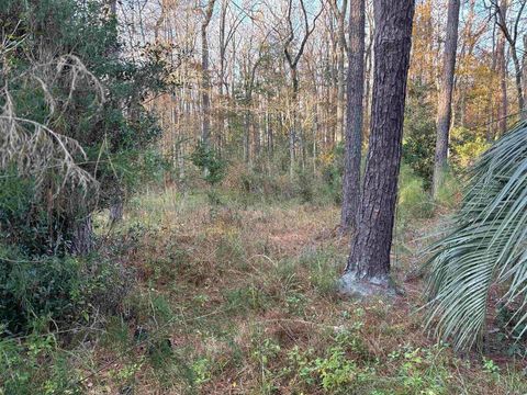 Tiny photo for XXX BOX WOOD Court, Tallahassee, FL 32303 (MLS # 394378)