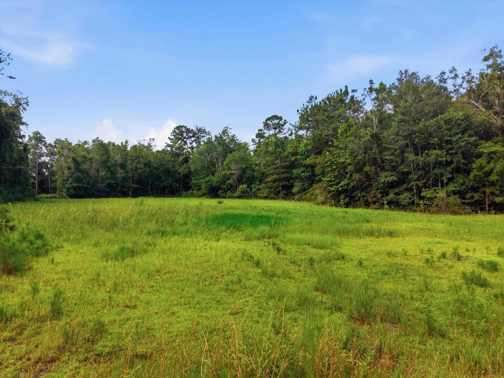 Photo of XXX Neely Road, Monticello, FL 32344 (MLS # 402172)