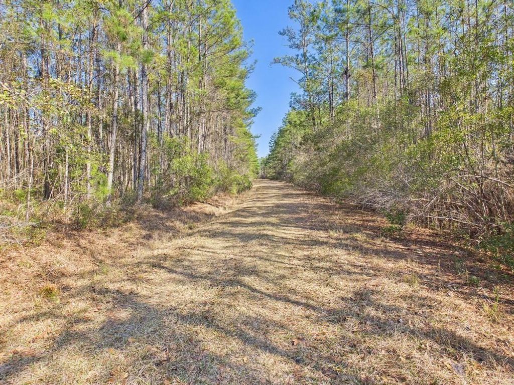 Photo of Lot 81 SW Oregon Trail, Greenville, FL 32331 (MLS # 395803)