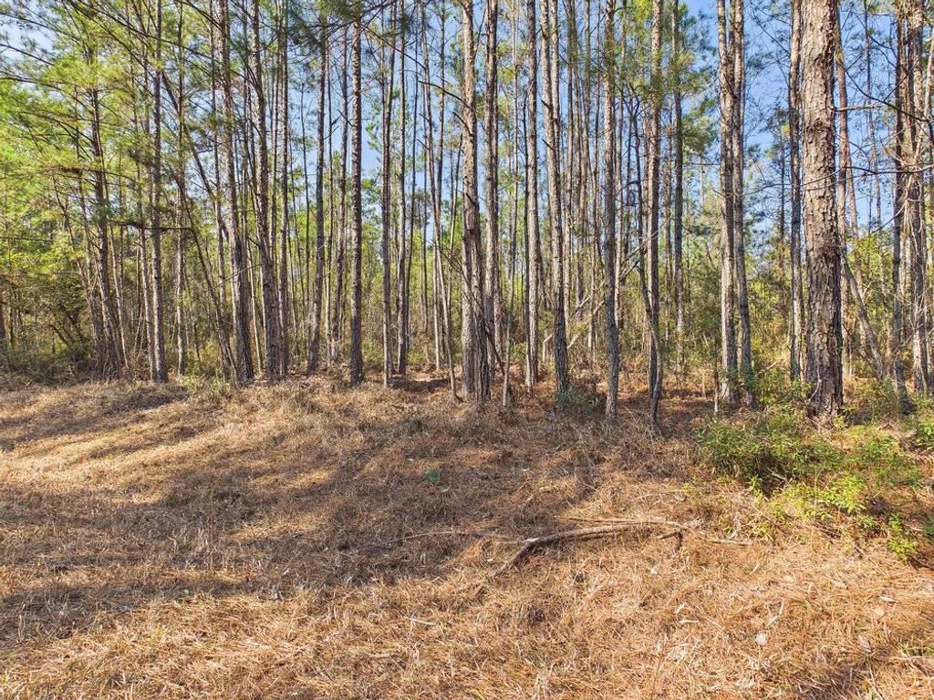Photo of Lot 81 SW Oregon Trail, Greenville, FL 32331 (MLS # 395803)