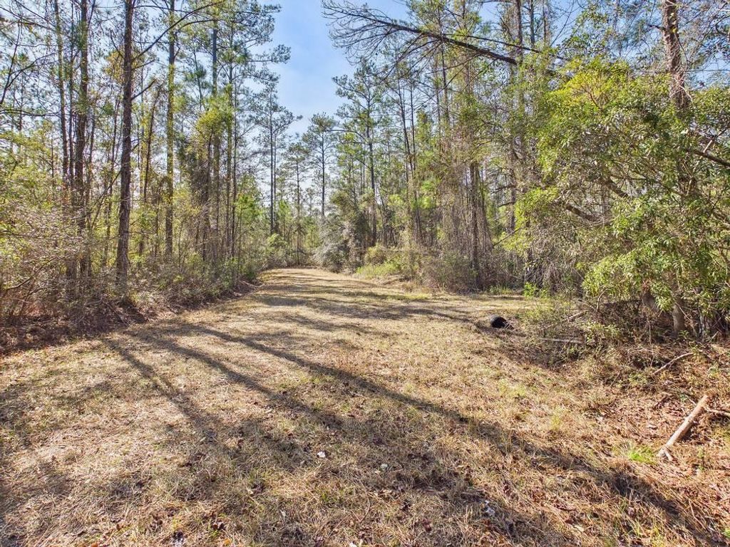 Photo of Lot 81 SW Oregon Trail, Greenville, FL 32331 (MLS # 395803)