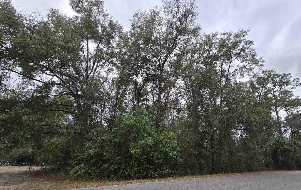 Photo of Tallahassee, FL 32305 (MLS # 395252)