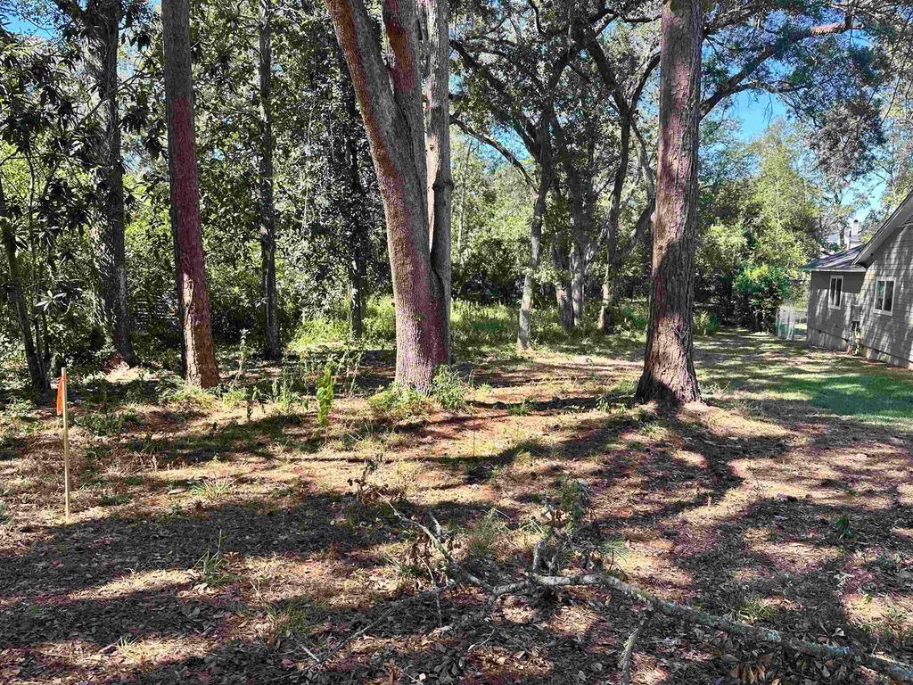 Photo of xxx Trescott Drive, Tallahassee, FL 32308 (MLS # 396076)