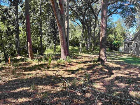 Tiny photo for xxx Trescott Drive, Tallahassee, FL 32308 (MLS # 396076)