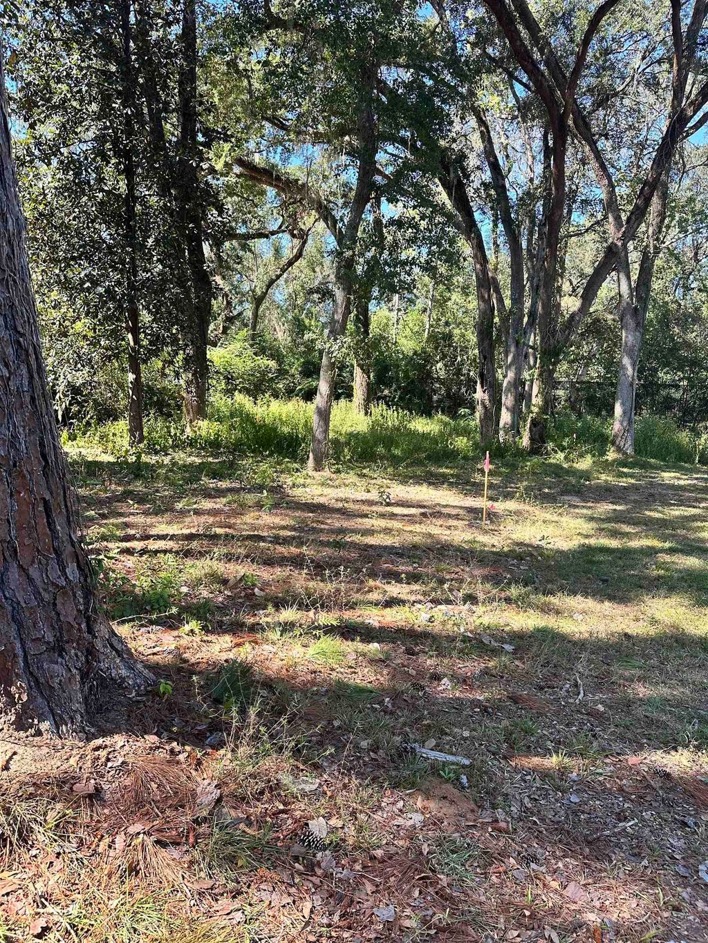 Photo of xxx Trescott Drive, Tallahassee, FL 32308 (MLS # 396076)