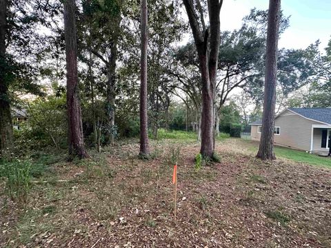 Tiny photo for xxx Trescott Drive, Tallahassee, FL 32308 (MLS # 396076)