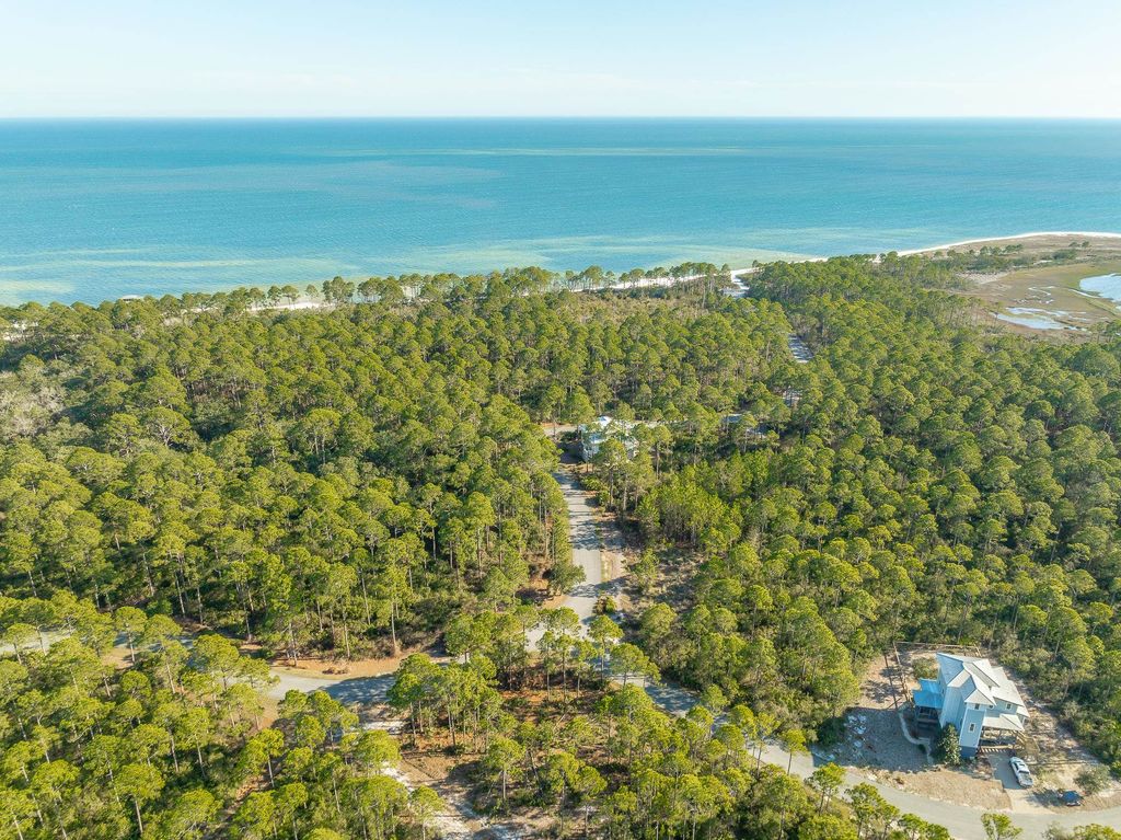 Photo of 173 Lightining Bug Lane, St Teresa, FL 32358 (MLS # 397228)