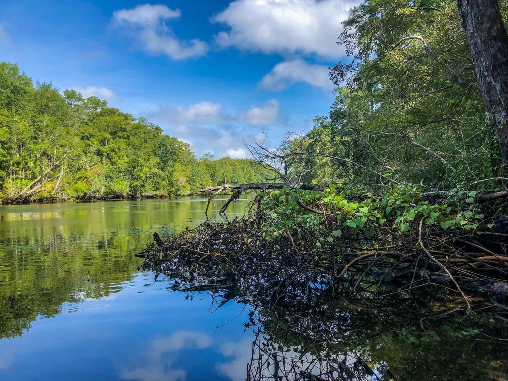 Photo of Lighthouse Road, Crawfordville, FL 32327 (MLS # 397521)