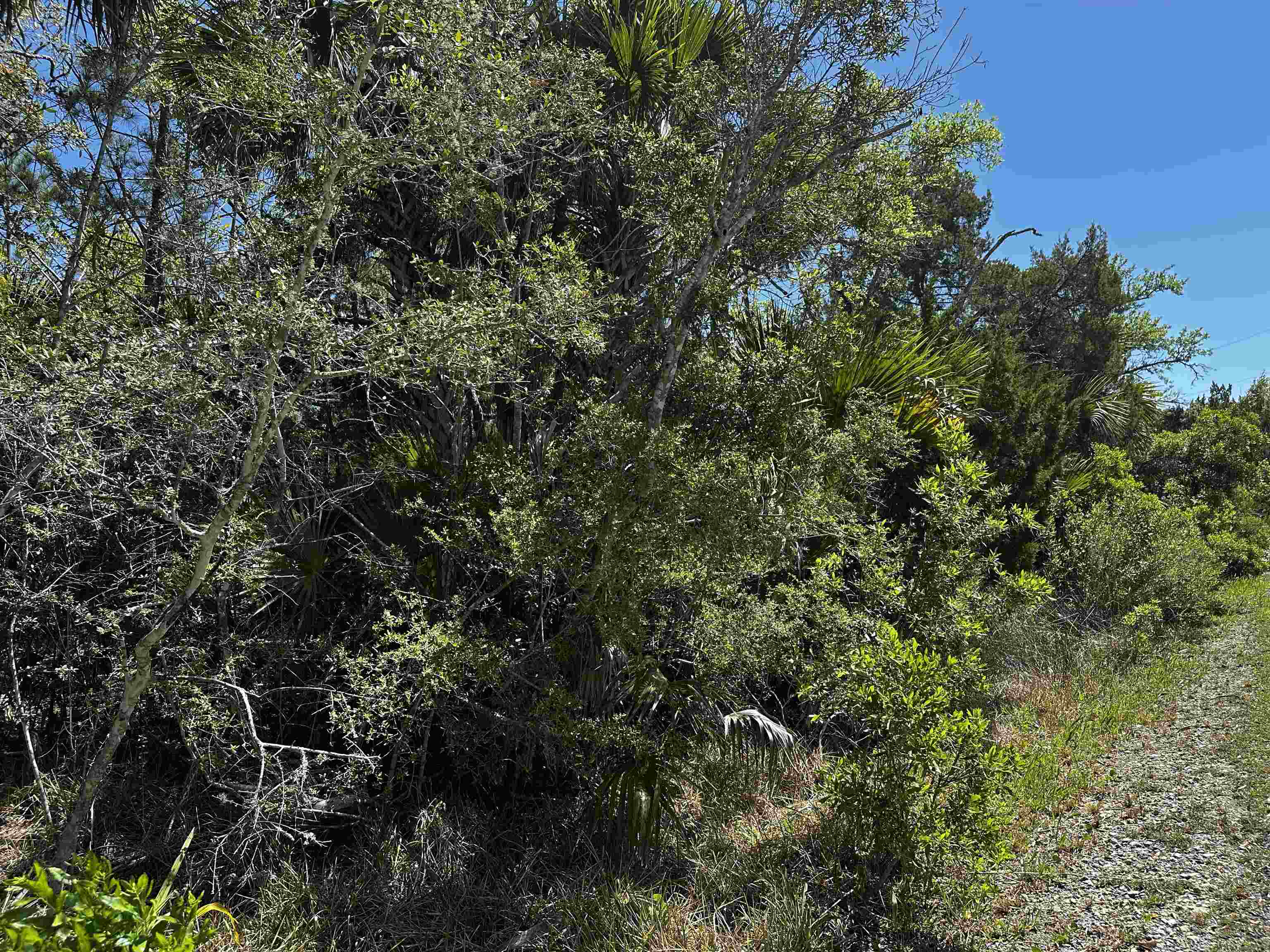 lot 14 OYSTER BAY Drive 2