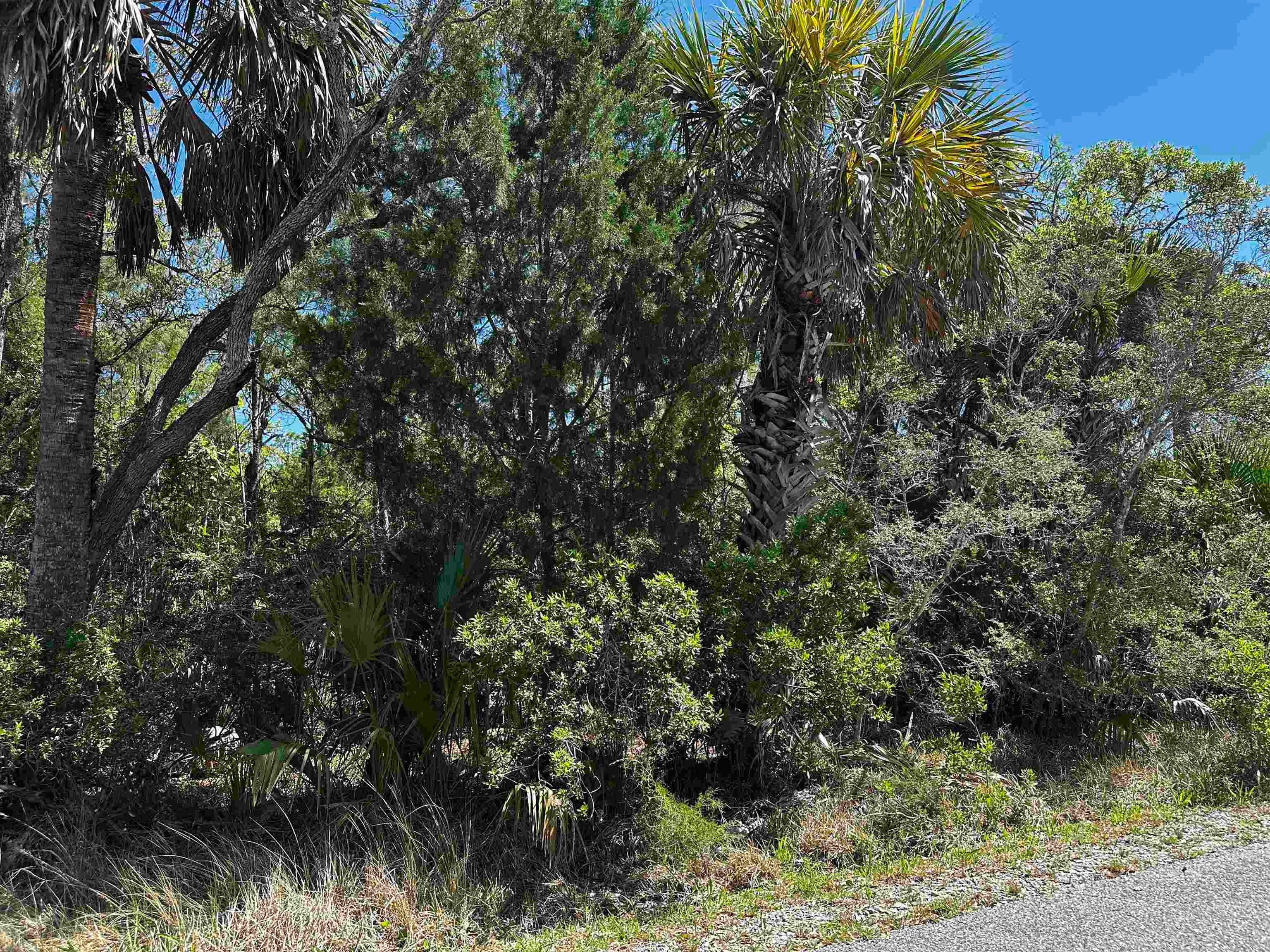 Photo 1 of 9 — lot 14 OYSTER BAY Drive 2, Crawfordville, FL 32327