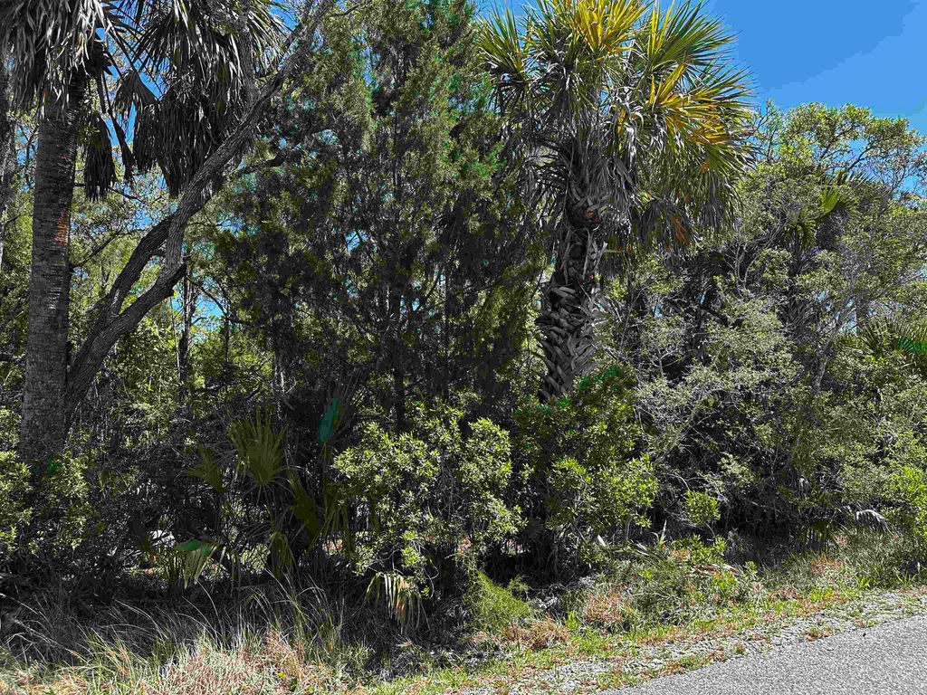 Photo of lot 14 OYSTER BAY Drive #2, Crawfordville, FL 32327 (MLS # 398288)