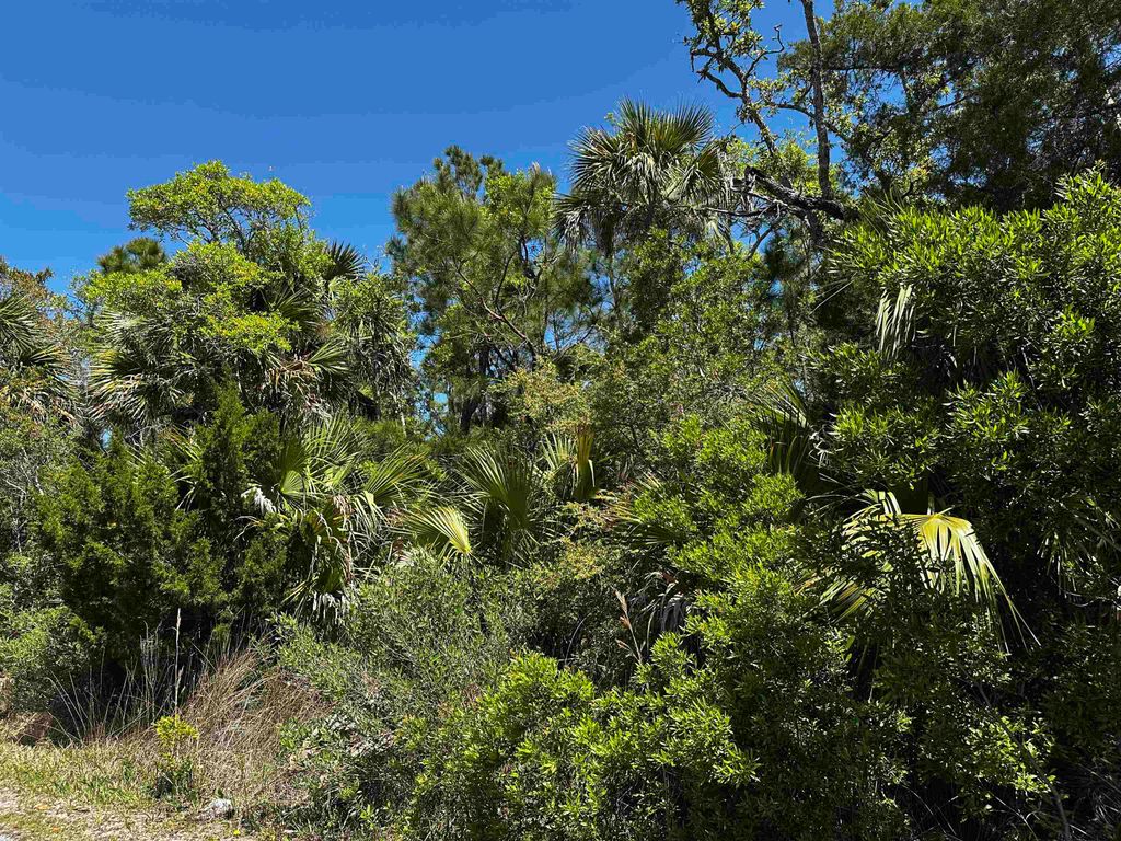 Photo of lot 14 OYSTER BAY Drive #2, Crawfordville, FL 32327 (MLS # 398288)