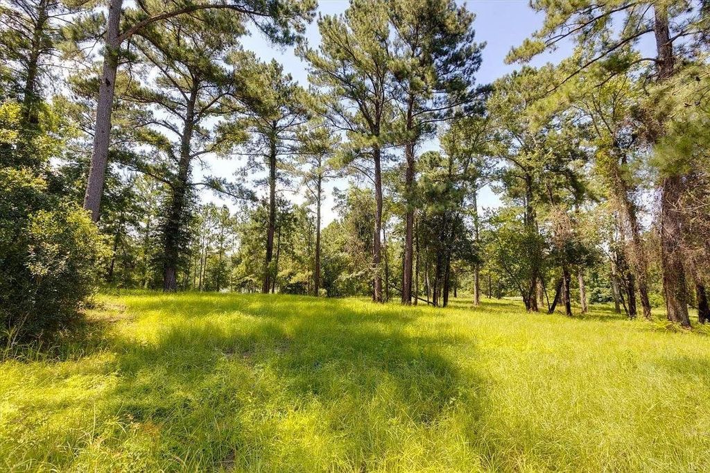 Photo of 0 TRAM Court, Tallahassee, FL 32311 (MLS # 399333)