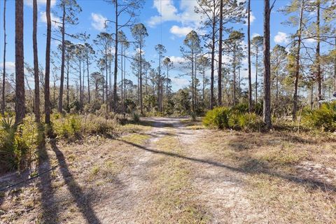 A home in Steinhatchee