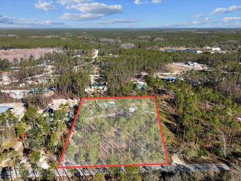 A home in Steinhatchee