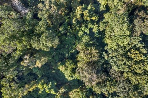 Tiny photo for 0 Fred George Road, Tallahassee, FL 32303 (MLS # 352158)