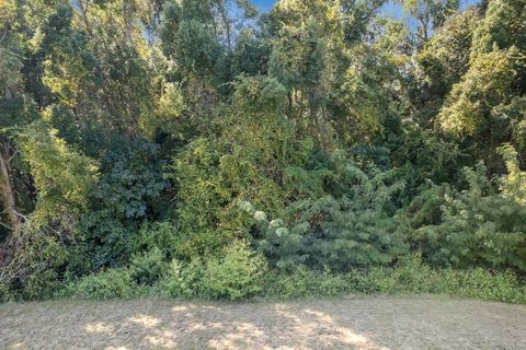 Tiny photo for 0 Fred George Road, Tallahassee, FL 32303 (MLS # 352158)