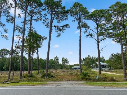 Tiny photo for 1905 Highway 98 West, Carrabelle, FL 32322 (MLS # 397735)