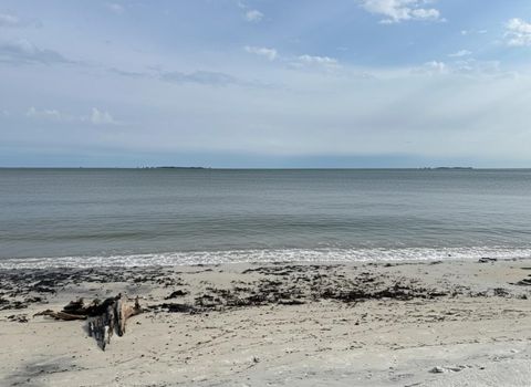 Tiny photo for 1905 Highway 98 West, Carrabelle, FL 32322 (MLS # 397735)