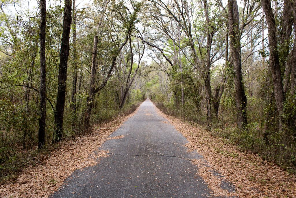 Photo of 245 NE EAST PEPPERMINT Trail, Pinetta, FL 32350 (MLS # 397470)