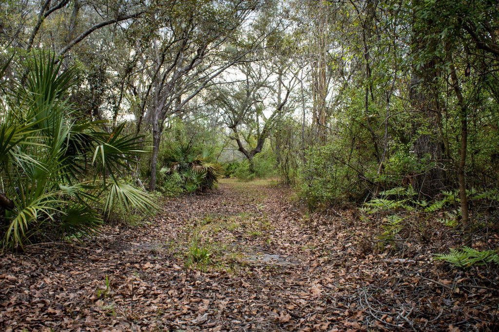 Photo of 245 NE EAST PEPPERMINT Trail, Pinetta, FL 32350 (MLS # 397470)