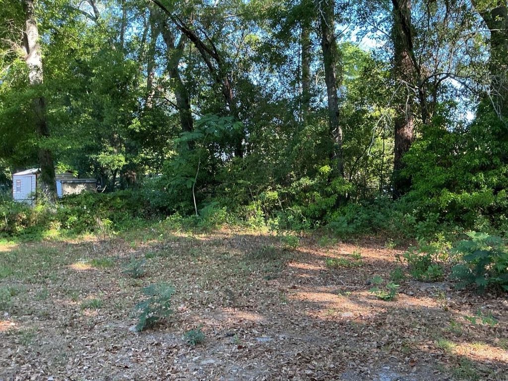 Photo of 822 APACHE Street, Tallahassee, FL 32301 (MLS # 399091)