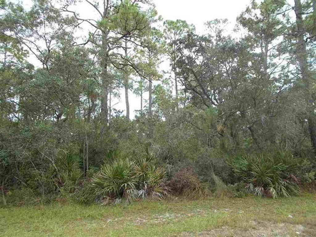 Photo of 27 Piper Lane #-, Panacea, FL 32346 (MLS # 399709)