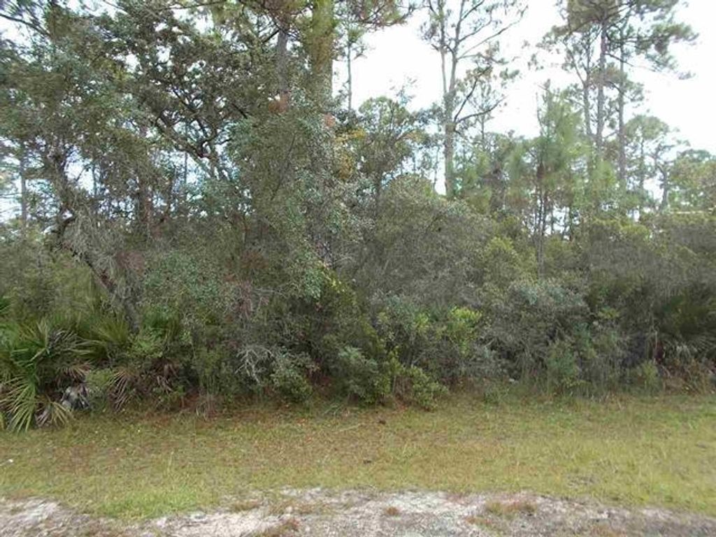 Photo of 27 Piper Lane #-, Panacea, FL 32346 (MLS # 399709)