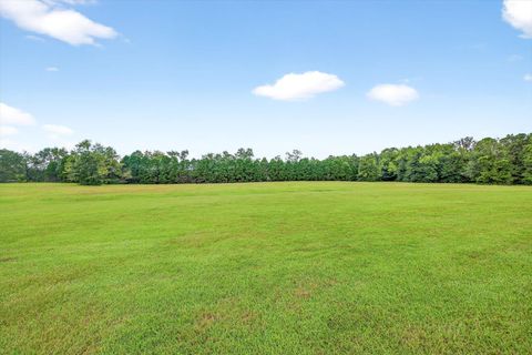 Tiny photo for 237 Valley View Court #-, Monticello, FL 32344 (MLS # 396887)