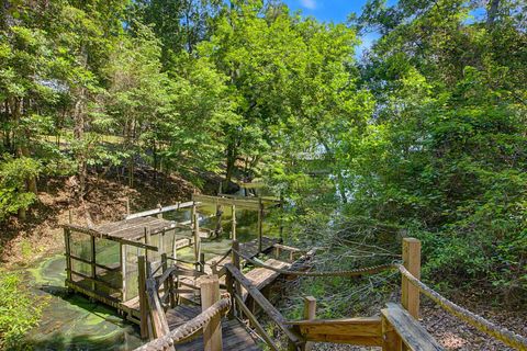 Tiny photo for 2865 Parramore Shores Road, Tallahassee, FL 32310 (MLS # 399544)