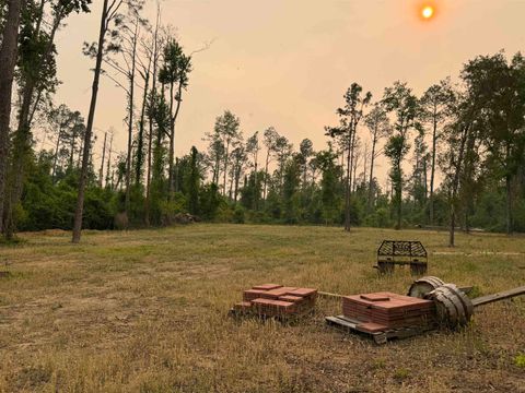 Tiny photo for 455 NE Blue Ridge Landing Avenue, Lee, FL 32059 (MLS # 399038)