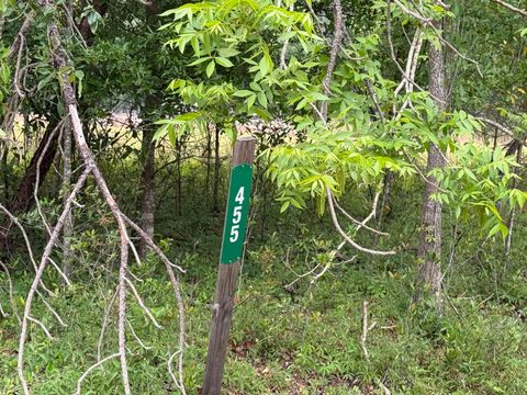 Tiny photo for 455 NE Blue Ridge Landing Avenue, Lee, FL 32059 (MLS # 399038)