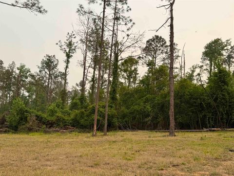 Tiny photo for 455 NE Blue Ridge Landing Avenue, Lee, FL 32059 (MLS # 399038)