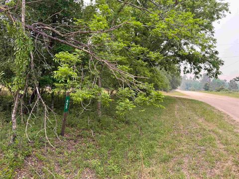 Tiny photo for 455 NE Blue Ridge Landing Avenue, Lee, FL 32059 (MLS # 399038)