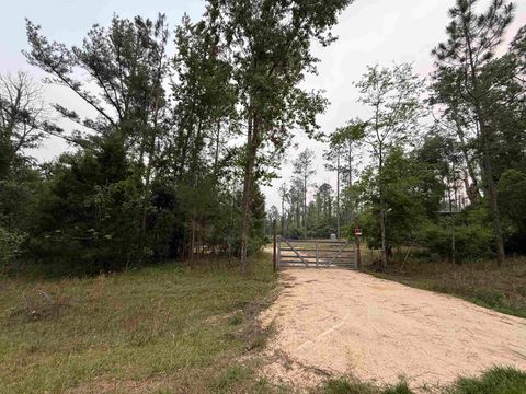 Tiny photo for 455 NE Blue Ridge Landing Avenue, Lee, FL 32059 (MLS # 399038)