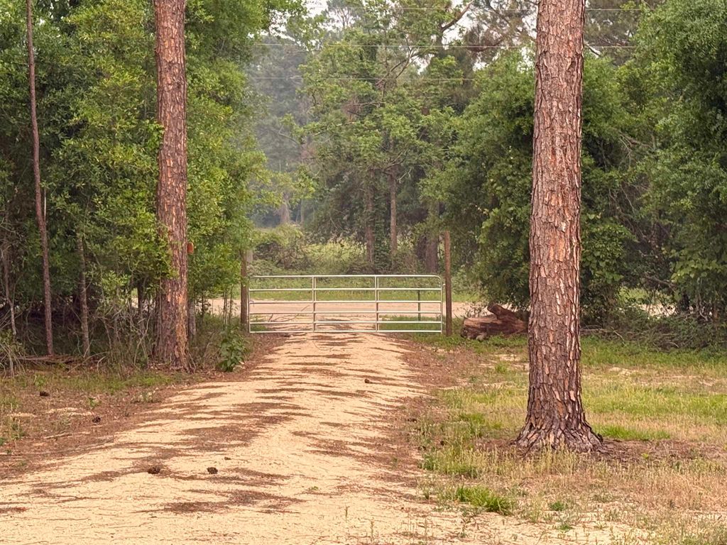 Photo of 455 NE Blue Ridge Landing Avenue, Lee, FL 32059 (MLS # 399038)