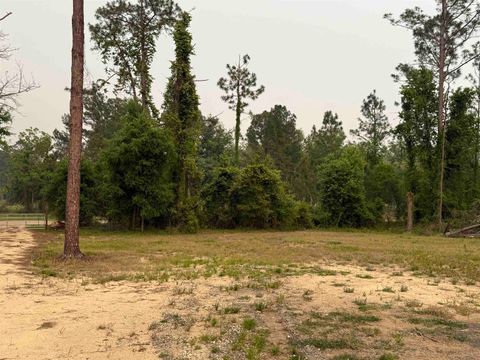 Tiny photo for 455 NE Blue Ridge Landing Avenue, Lee, FL 32059 (MLS # 399038)