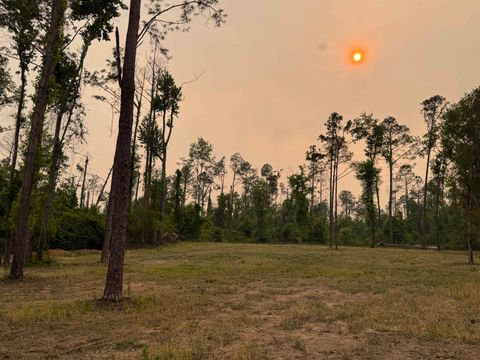 Tiny photo for 455 NE Blue Ridge Landing Avenue, Lee, FL 32059 (MLS # 399038)