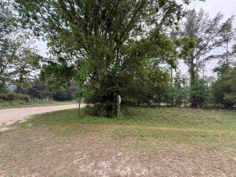 Tiny photo for 455 NE Blue Ridge Landing Avenue, Lee, FL 32059 (MLS # 399038)