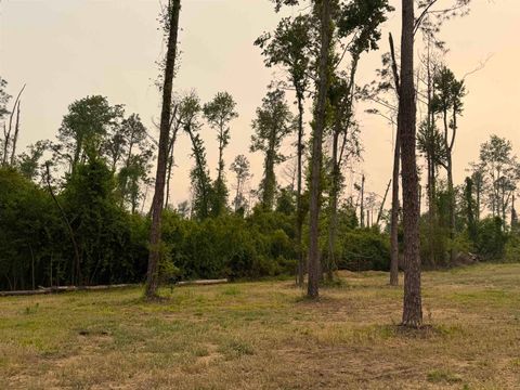 Tiny photo for 455 NE Blue Ridge Landing Avenue, Lee, FL 32059 (MLS # 399038)