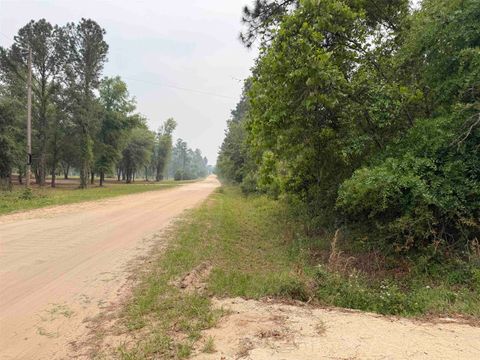 Tiny photo for 455 NE Blue Ridge Landing Avenue, Lee, FL 32059 (MLS # 399038)