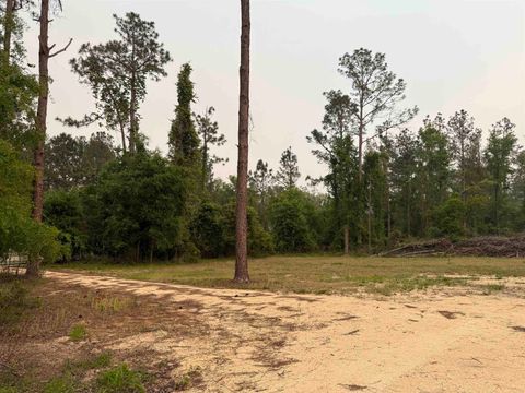 Tiny photo for 455 NE Blue Ridge Landing Avenue, Lee, FL 32059 (MLS # 399038)
