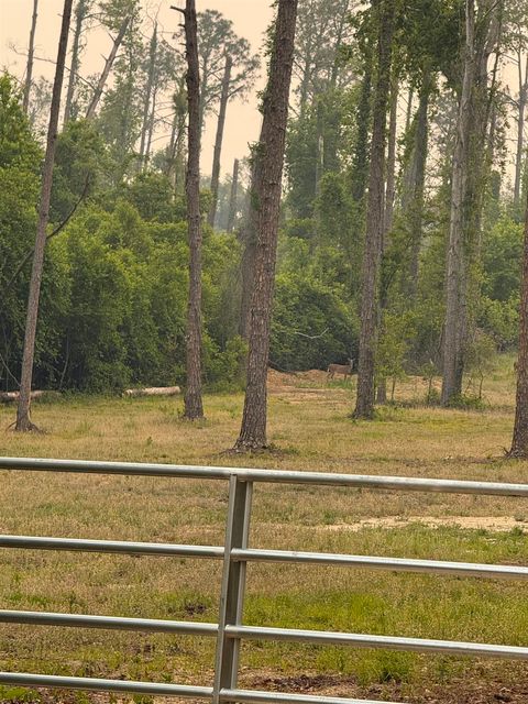 Tiny photo for 455 NE Blue Ridge Landing Avenue, Lee, FL 32059 (MLS # 399038)