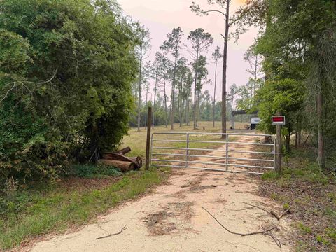 Tiny photo for 455 NE Blue Ridge Landing Avenue, Lee, FL 32059 (MLS # 399038)