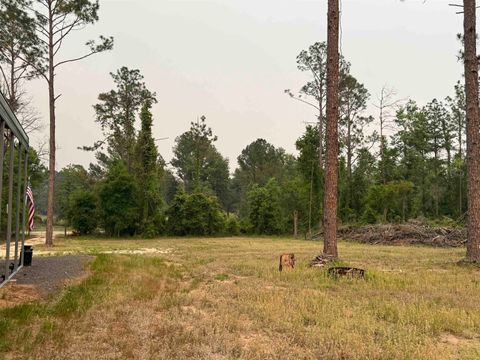Tiny photo for 455 NE Blue Ridge Landing Avenue, Lee, FL 32059 (MLS # 399038)