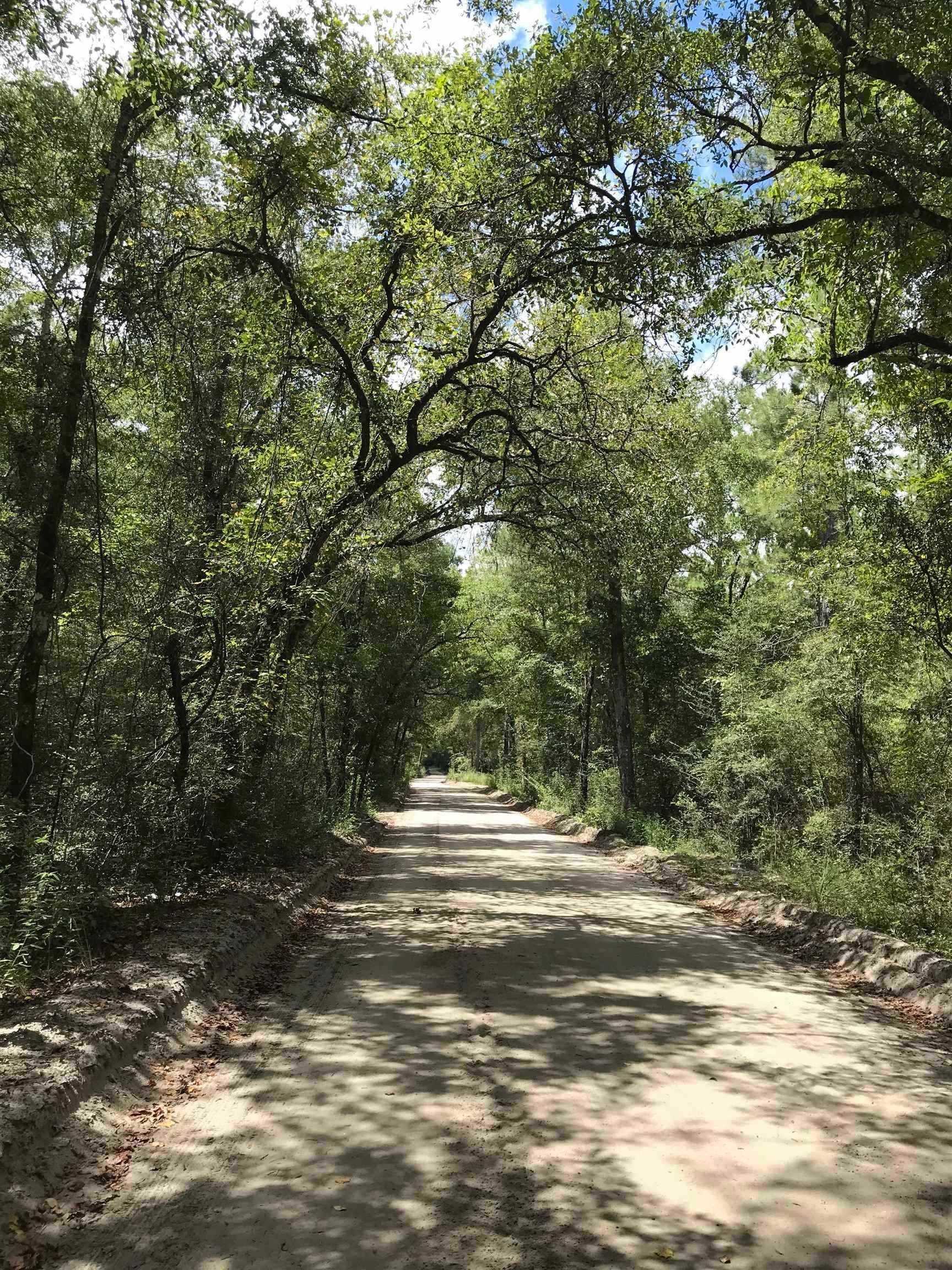Photo 1 of 3 — 0 ANDREW SPEARS Road, Crawfordville, FL 32327