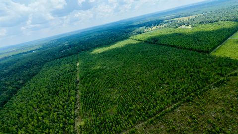 Tiny photo for TBD sw cr 141 Highway, Jasper, FL 32305 (MLS # 390277)